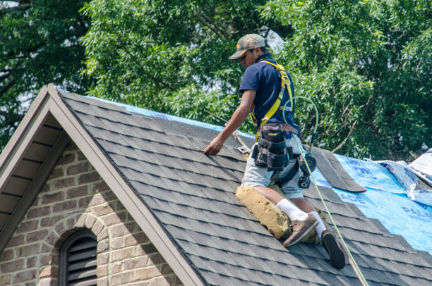 Best Roof Gutter Cleaning  in Bingham Farms, MI